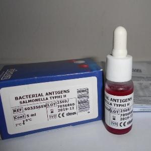 DIALAB Salmonella Typhi H